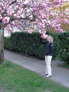 DSC00170 Ute Blossoms