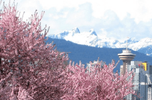 Screen Shot 2015-04-04 at 9.37.25 AM