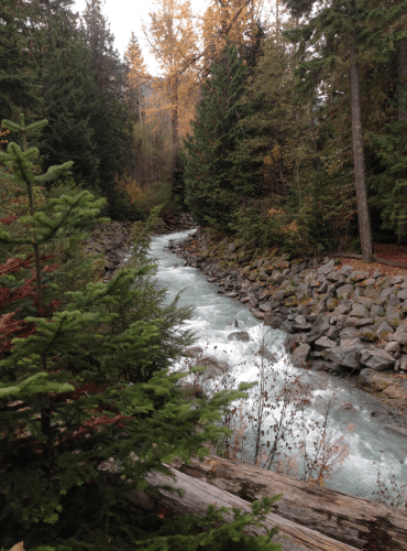 Screen Shot 2015-10-17 at 1.49.31 PM