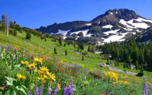 Screen Shot 2015-04-10 at 12.07.58 PM