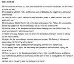 Screen Shot 2018-03-19 at 3.35.54&nbsp;PM