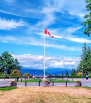 Screen Shot 2019-07-25 at 11.31.39&nbsp;AM